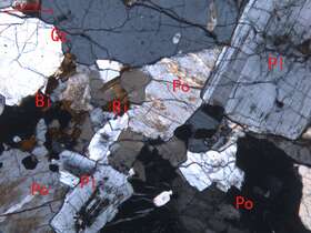 弱蚀变细粒花岗岩