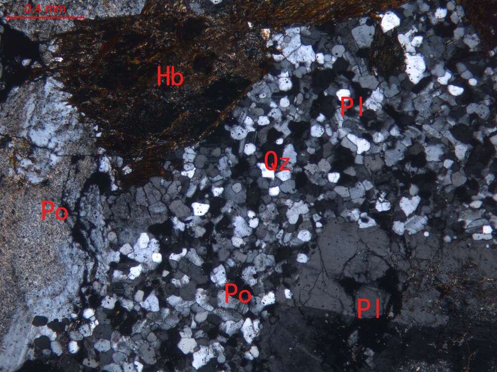弱蚀变二长花岗斑岩