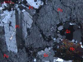 中细粒不等粒花岗岩