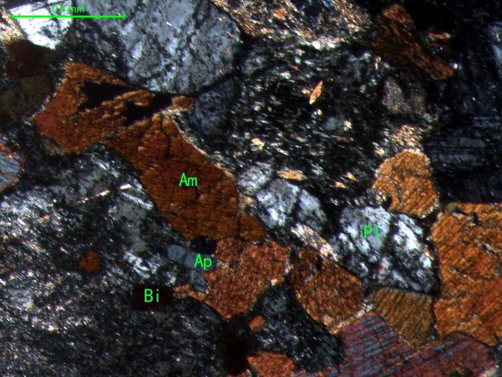 片麻状蚀变闪长岩