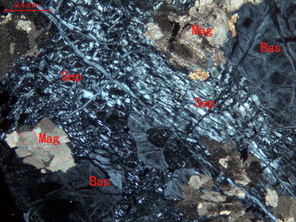 全蛇纹石化斜辉辉橄岩