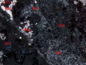 全蛇纹石化含辉纯橄岩