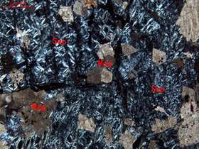 全蛇纹石化纯橄岩