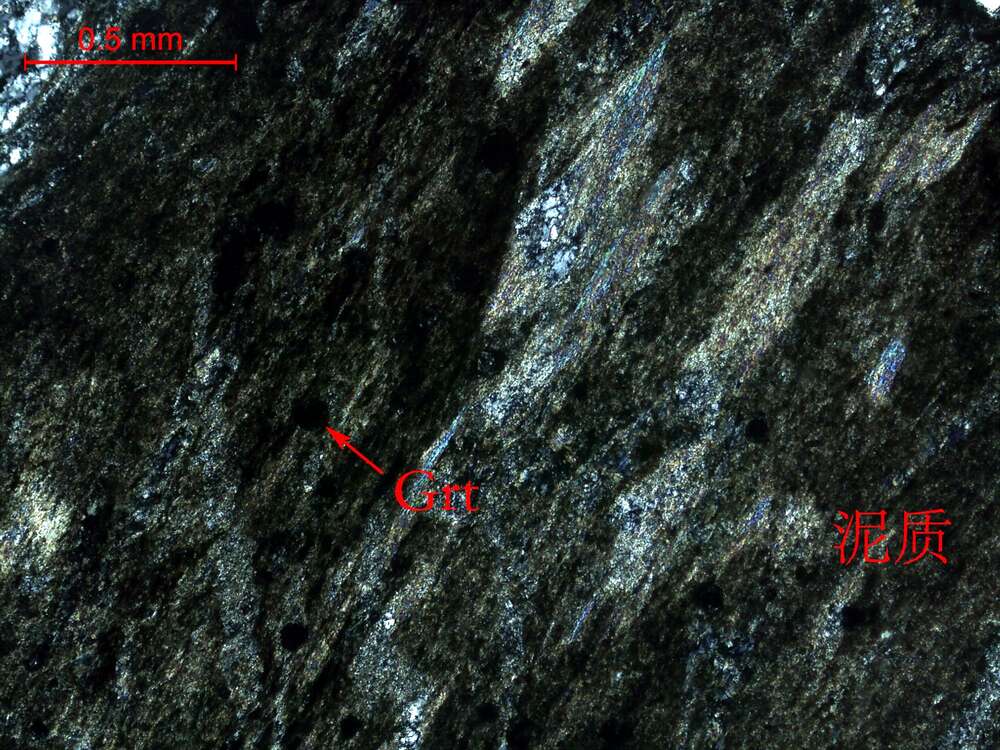 灰色碎裂岩化泥质板岩