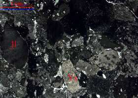 灰紫色砾质粗粒岩屑砂岩