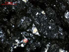 灰黑色碎裂强硅化泥岩