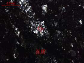 黄褐色碎裂硅化泥岩