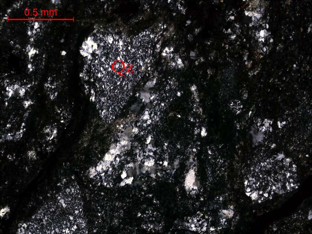 灰色糜棱泥硅质岩