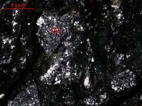 灰色糜棱泥硅质岩