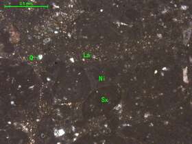 亮泥晶砂屑灰岩