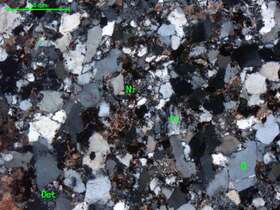 中粒岩屑石英砂岩