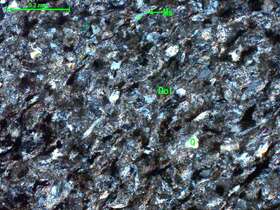 白云质粗粉砂岩