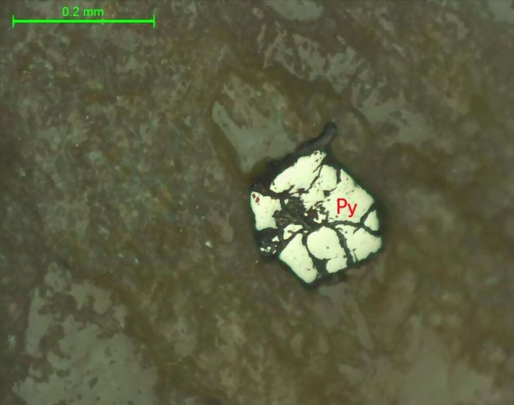 黄铁矿化片理化绢云母长英质蚀变岩