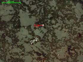 孔雀石化砂质含生屑粉细晶灰岩