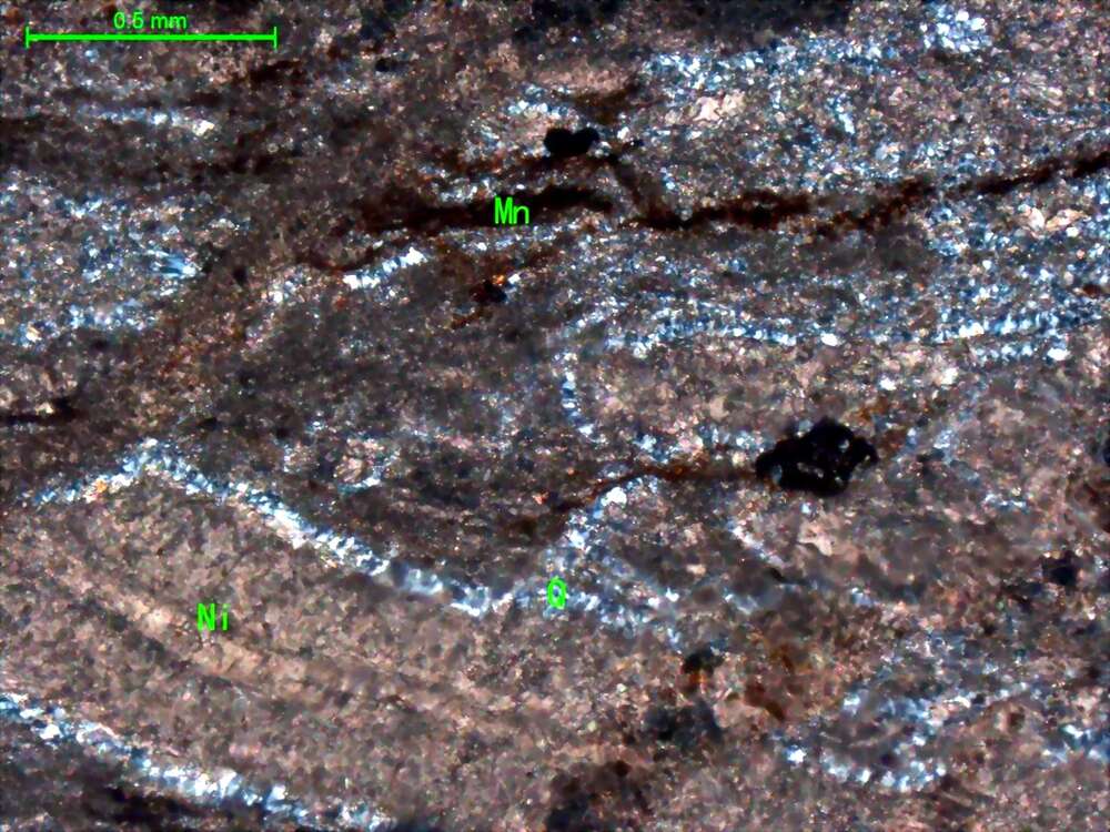 孔雀石化片理化含硅质砂屑灰岩