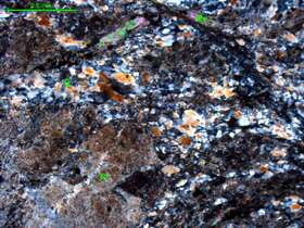 片理化蚀变黑云母石英闪长岩？