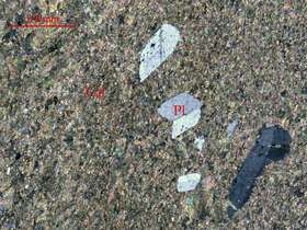 片理化微晶大理岩