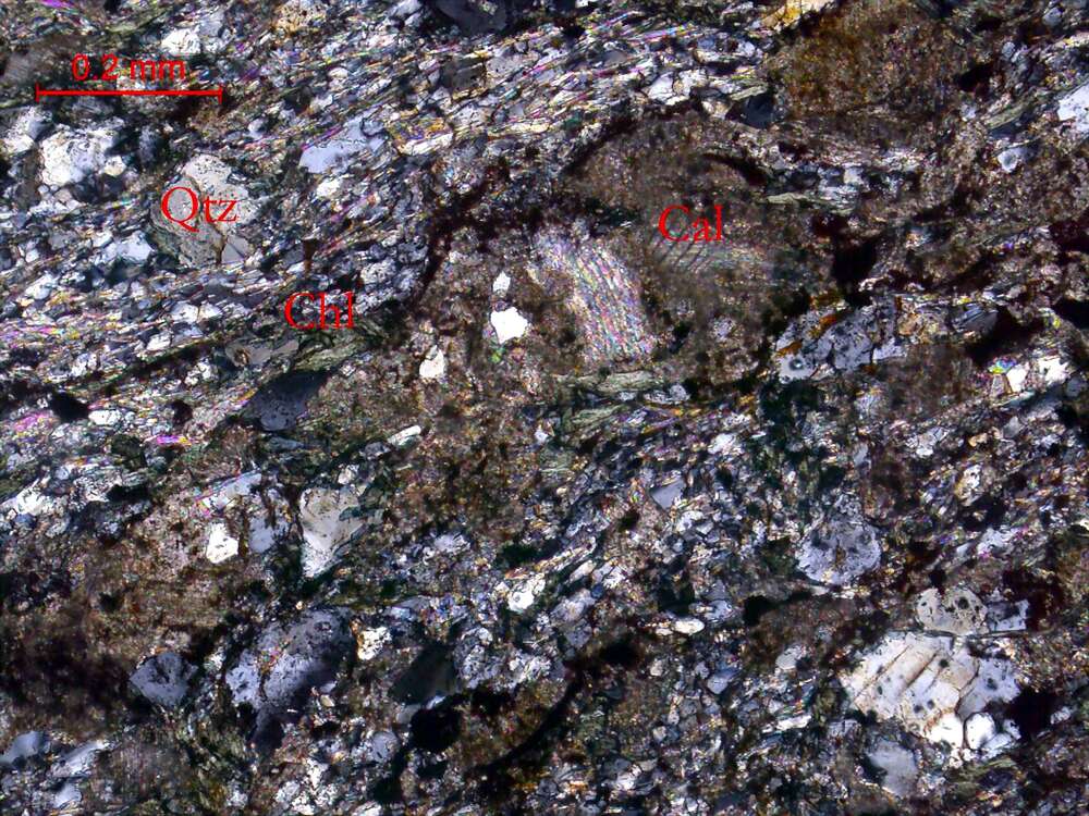 片理化含绿泥石石英细中晶灰岩