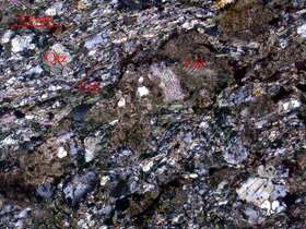 片理化含绿泥石石英细中晶灰岩