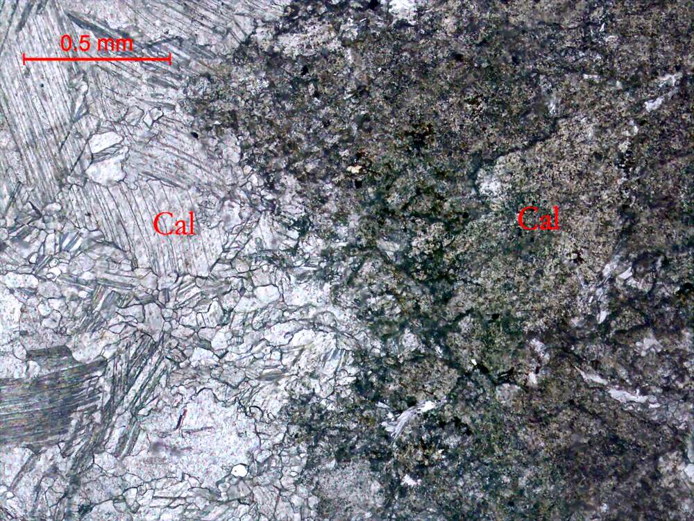 铅矿化中晶灰岩
