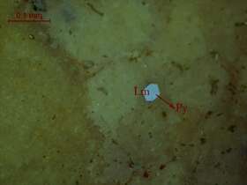 铅矿化中晶灰岩