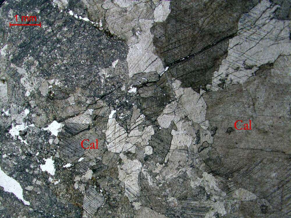 碎裂化中粒大理岩