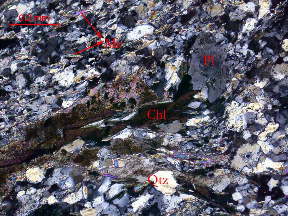 碳酸盐化长石二云母石英片岩