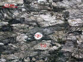 含石英细粒大理岩