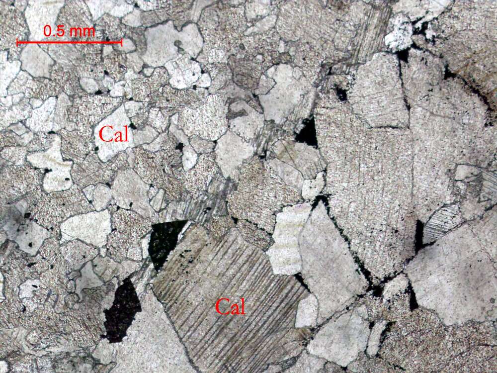 铅矿化不等晶灰岩