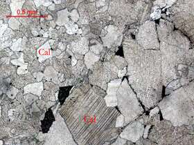 铅矿化不等晶灰岩