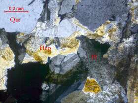 异极矿化（中酸性岩？）矽卡岩