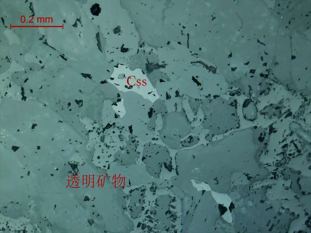 矿化透闪透辉石矽卡岩