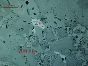 矿化透闪透辉石矽卡岩