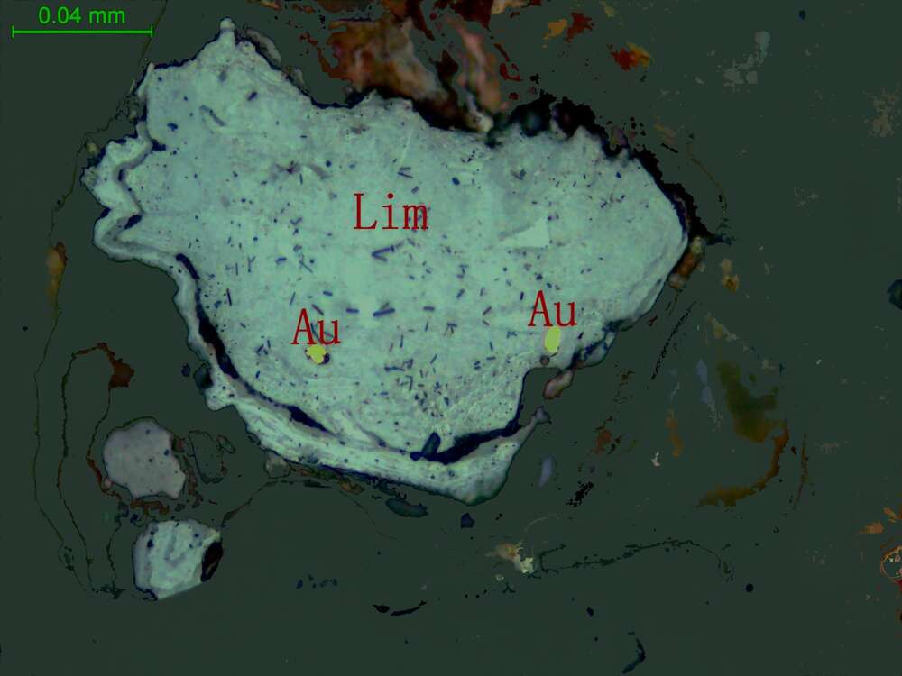 自然金、褐铁矿化黄铁矿（含金石英脉）