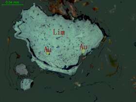自然金、褐铁矿化黄铁矿（含金石英脉）