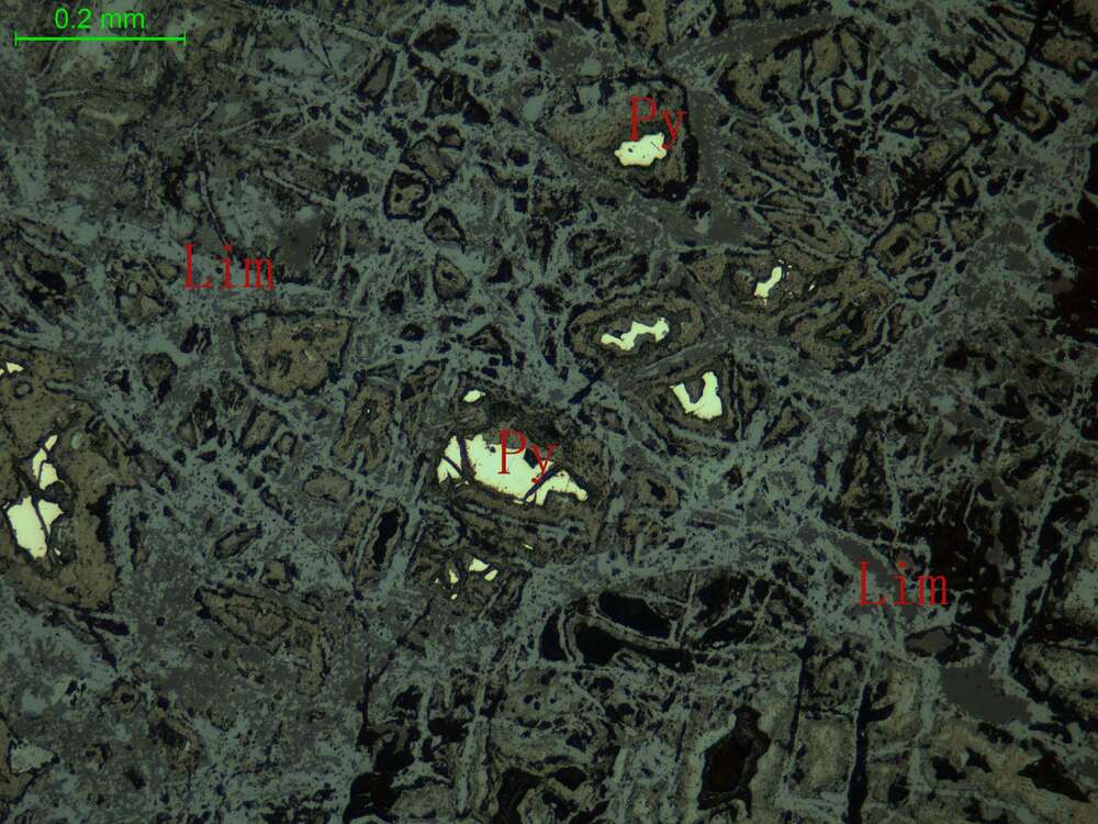褐铁矿化黄铁矿