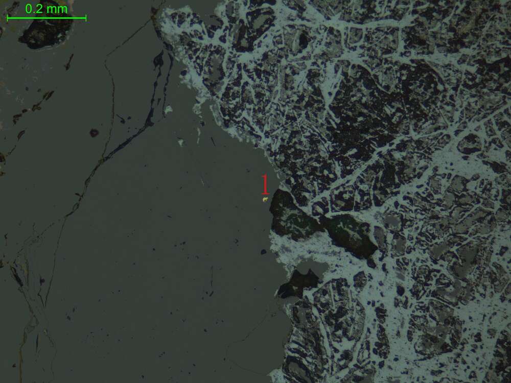 自然金、褐铁矿化黄铁矿（含金石英脉）
