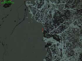 自然金、褐铁矿化黄铁矿（含金石英脉）
