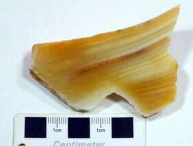 条带状石英岩
（石英质玉）