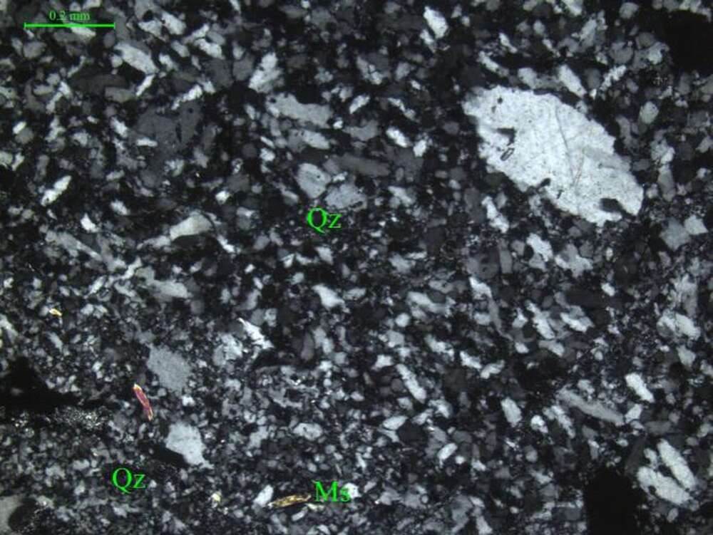 显微-细粒石英岩