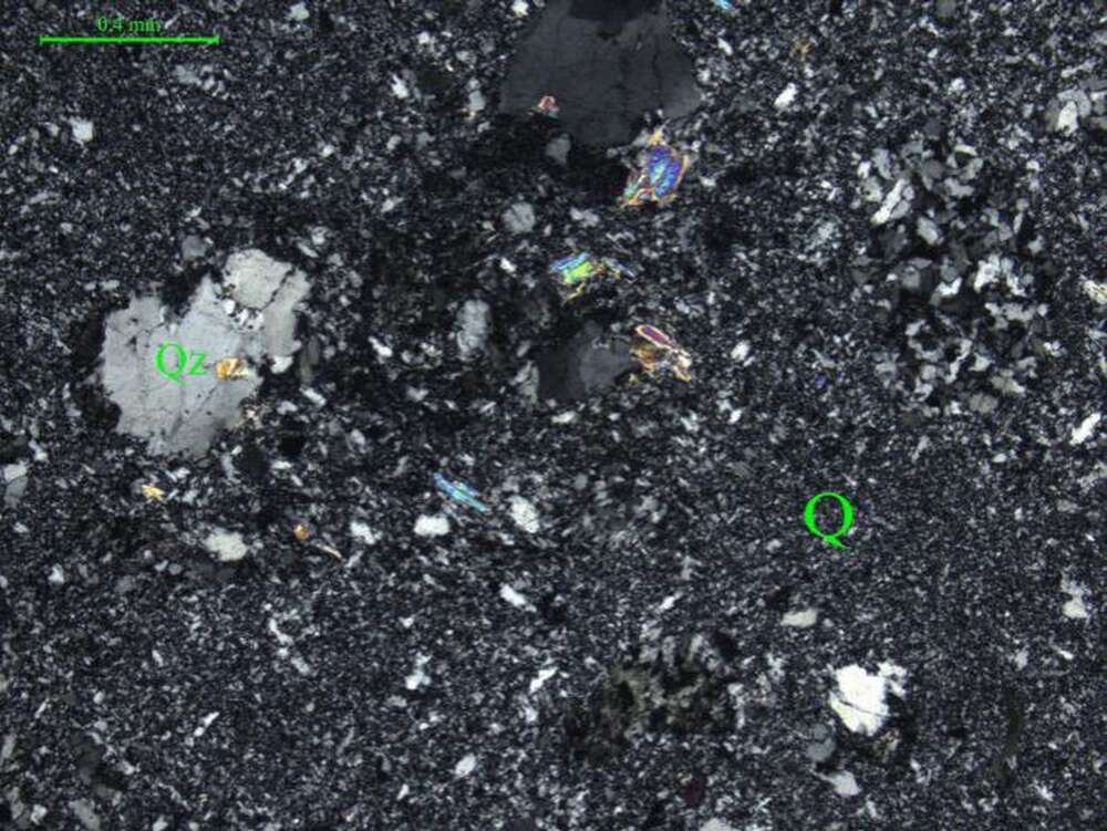 含角砾岩屑硅质岩