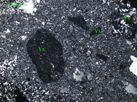 含角砾岩屑硅质岩