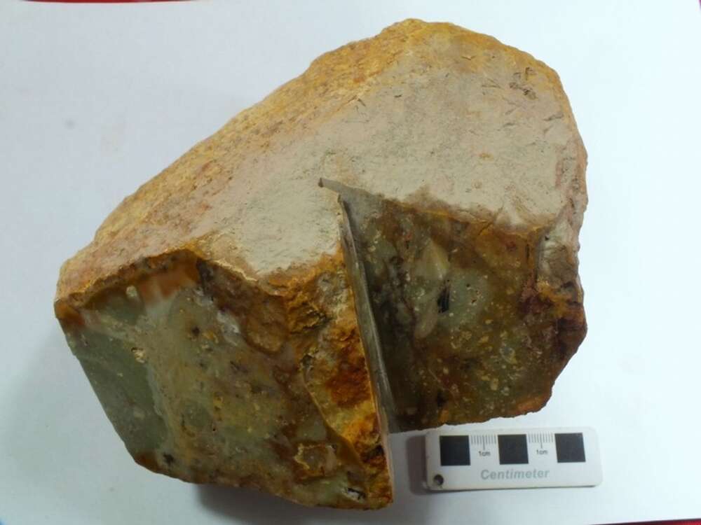 含岩屑角砾显微粒状石英岩