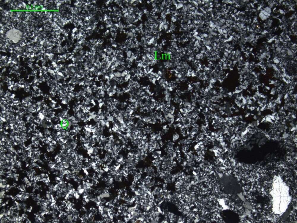 含岩屑角砾显微粒状石英岩