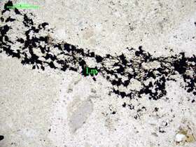 含岩屑角砾显微粒状石英岩