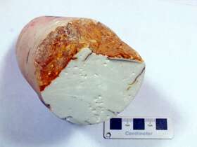 显微-细粒石英岩
（石英质玉）