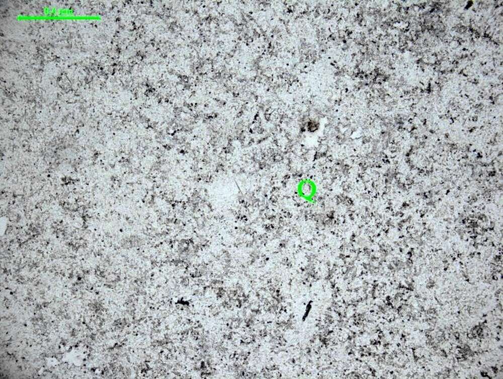 显微-细粒石英岩