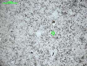 显微-细粒石英岩