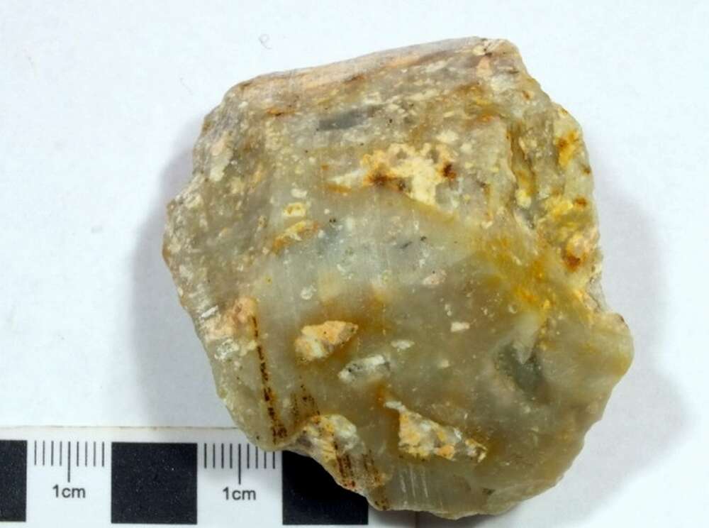 含角砾岩屑硅质岩