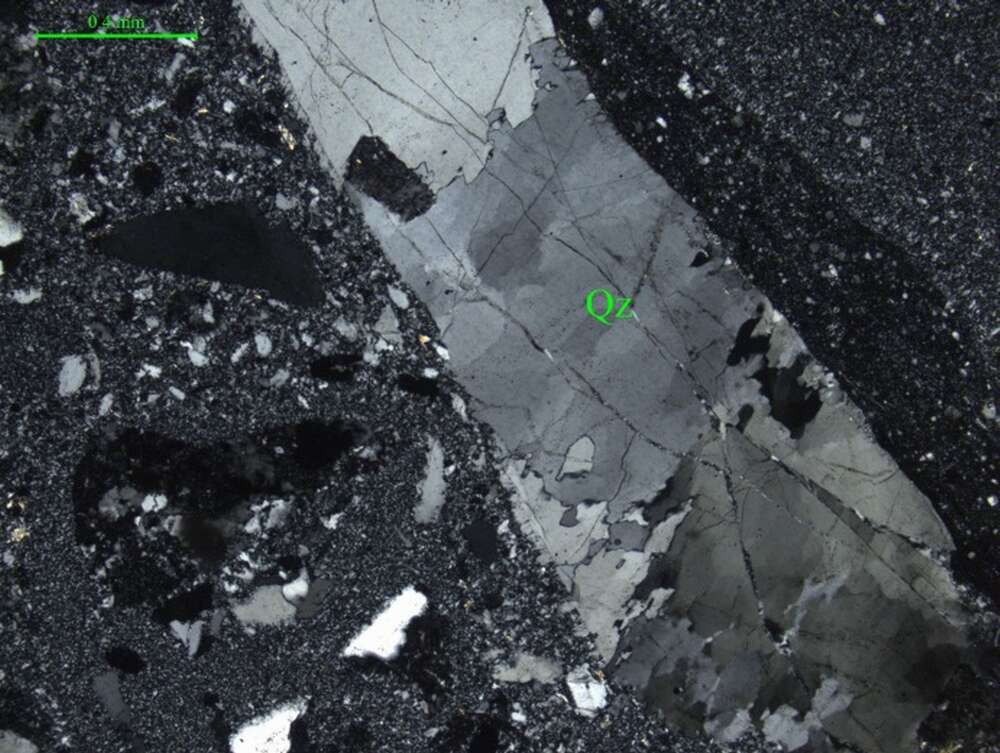 含角砾岩屑硅质岩